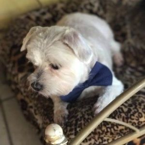 Meet your Posher, Barbara